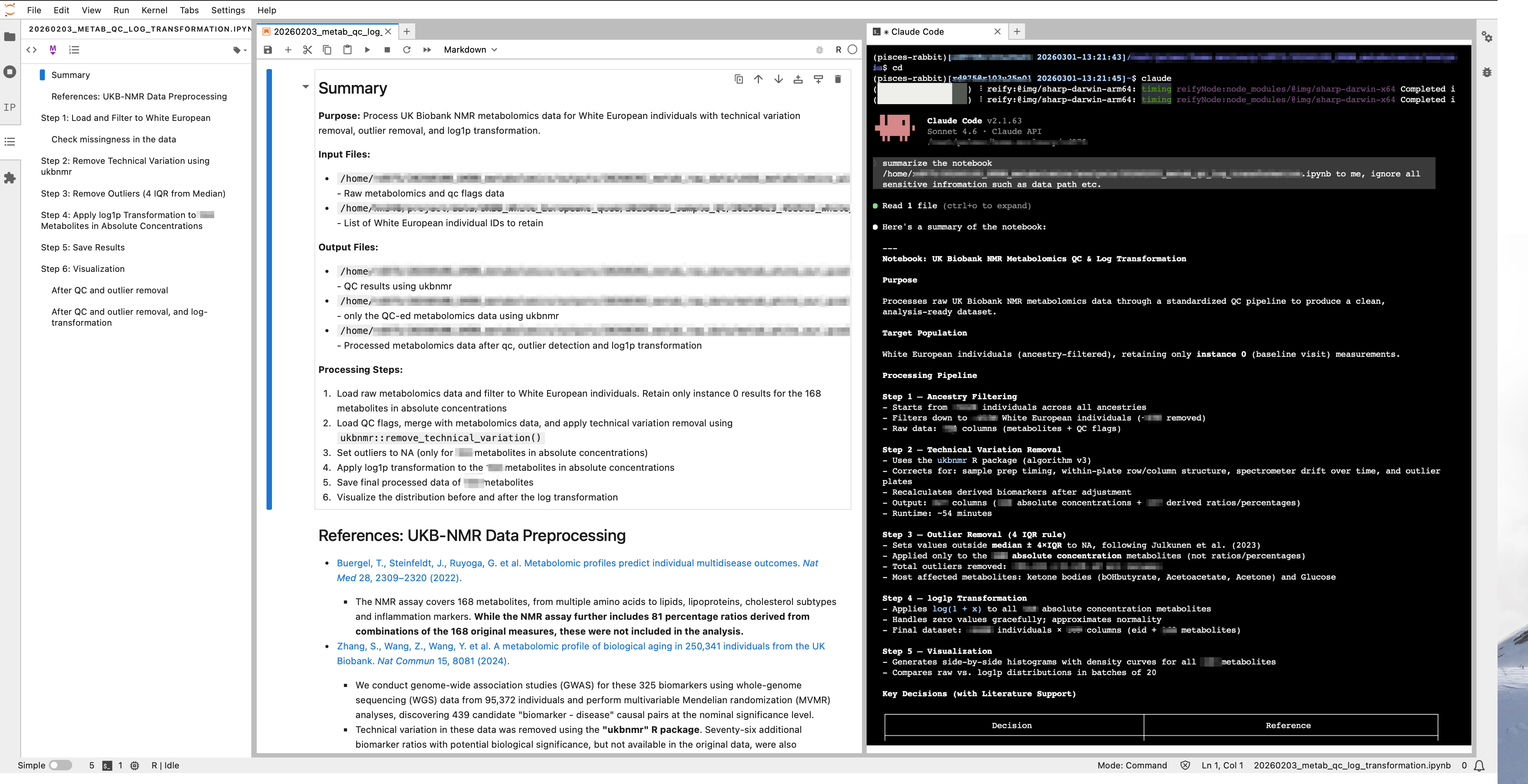 Claude Code CLI in JupyterLab